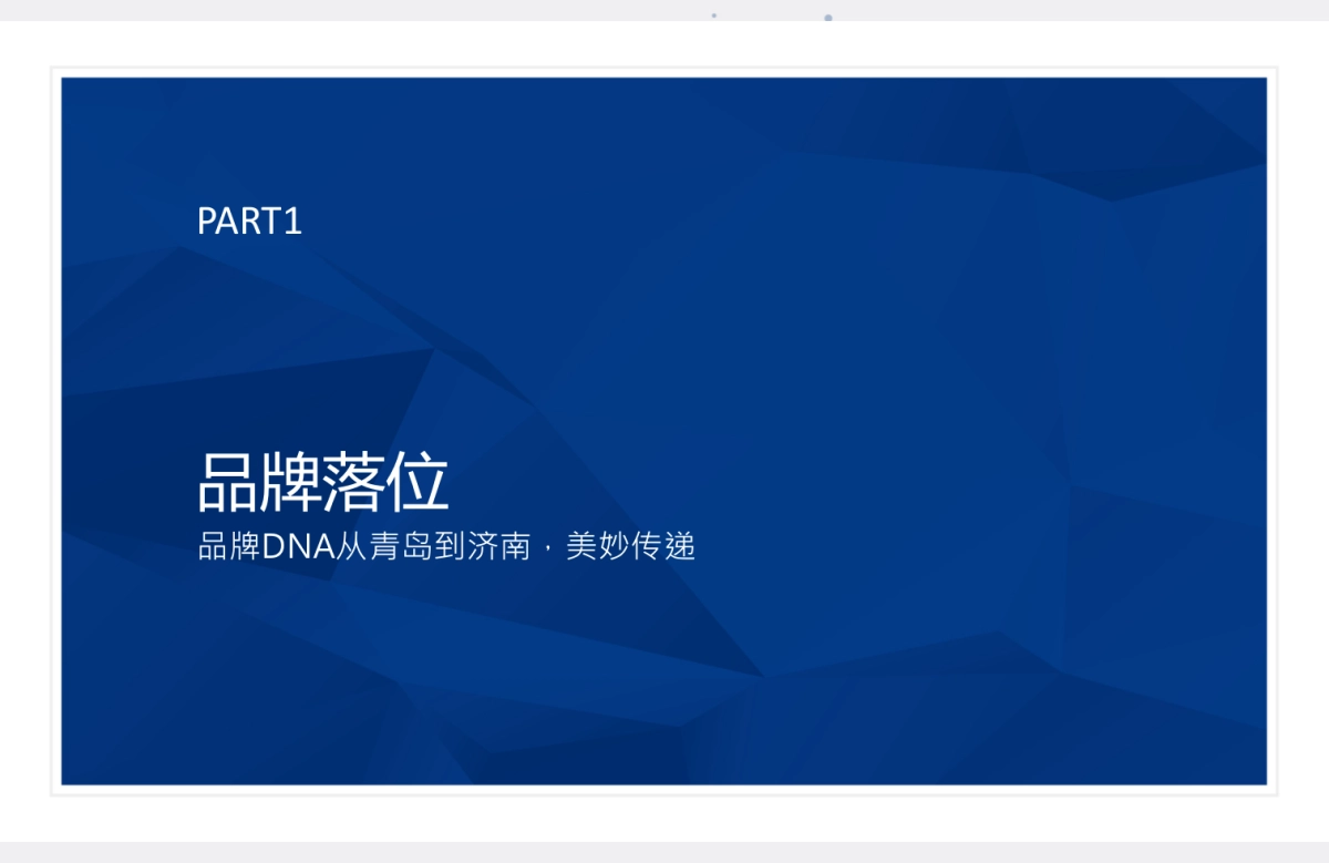 腾鲤传播-银盛泰·金域蓝山整合推广执行案_第5页