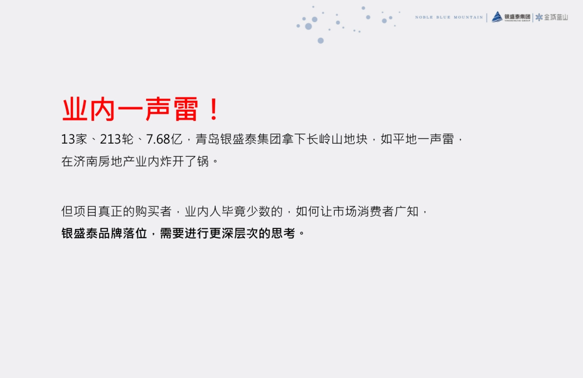 腾鲤传播-银盛泰·金域蓝山整合推广执行案_第6页