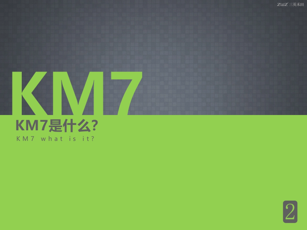 体包装推广策略_第10页