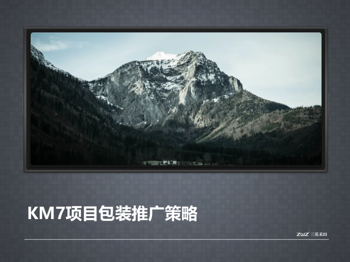 体包装推广策略_第5页