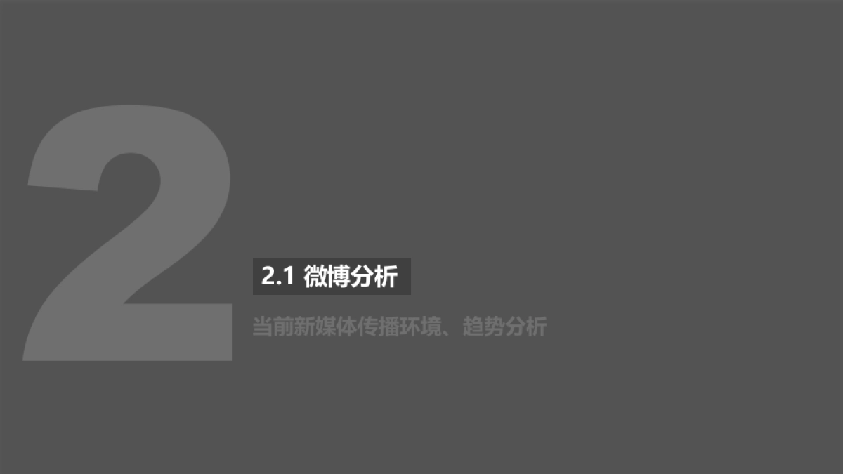 体传播提案0323_第8页