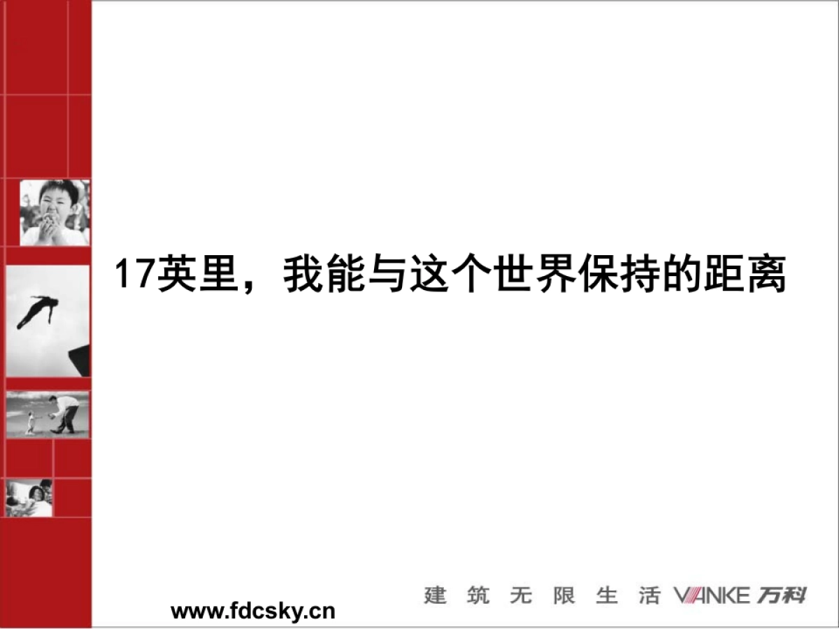 万科深圳英里系统执行推广方案_第2页