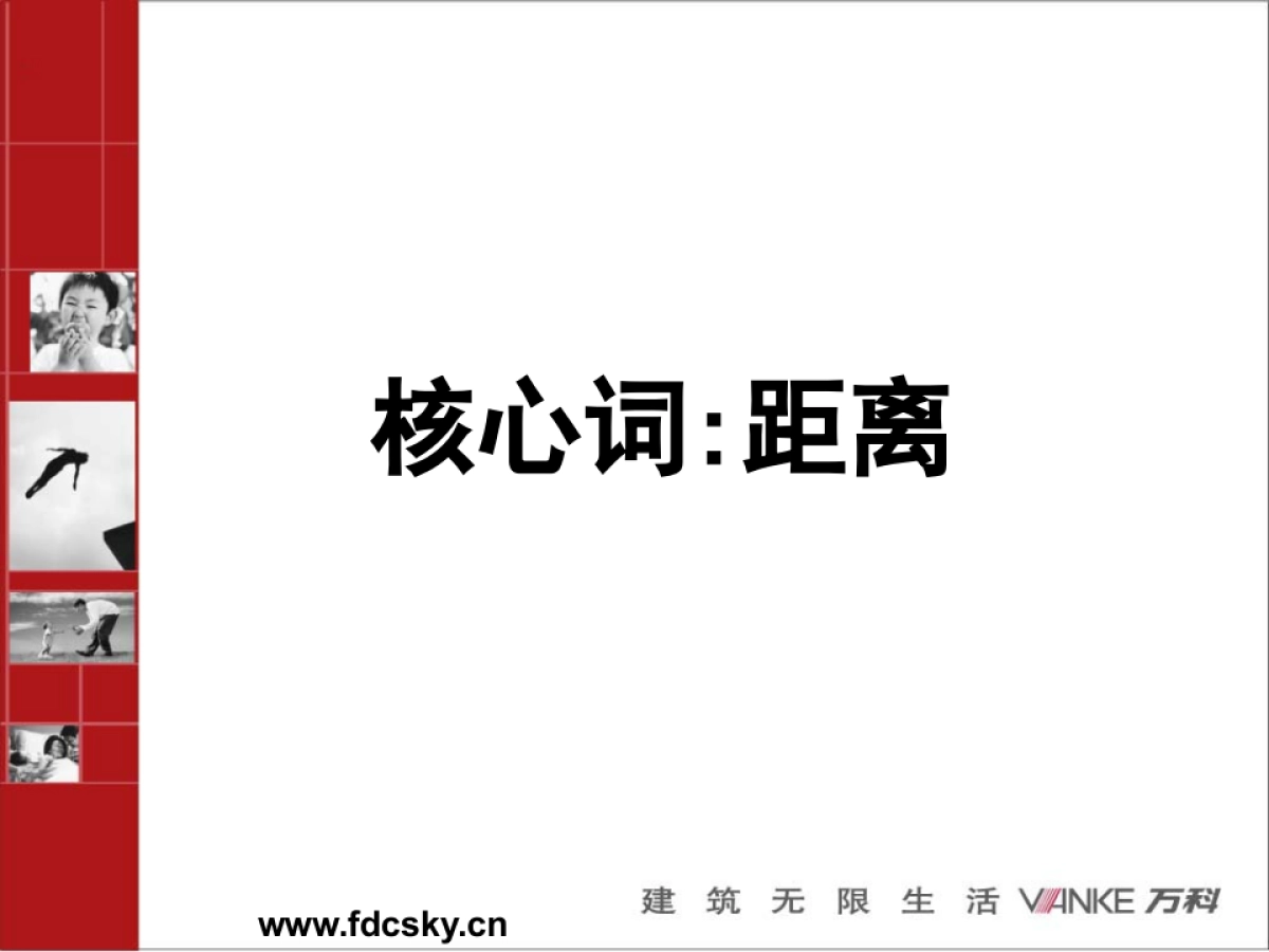 万科深圳英里系统执行推广方案_第3页