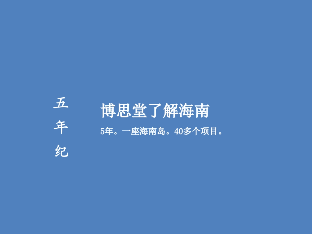 中国博思堂-海南孔雀城传播方案_第2页