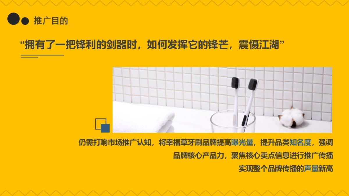 2018幸福草牙刷小红书线上社交媒体推广方案_第7页