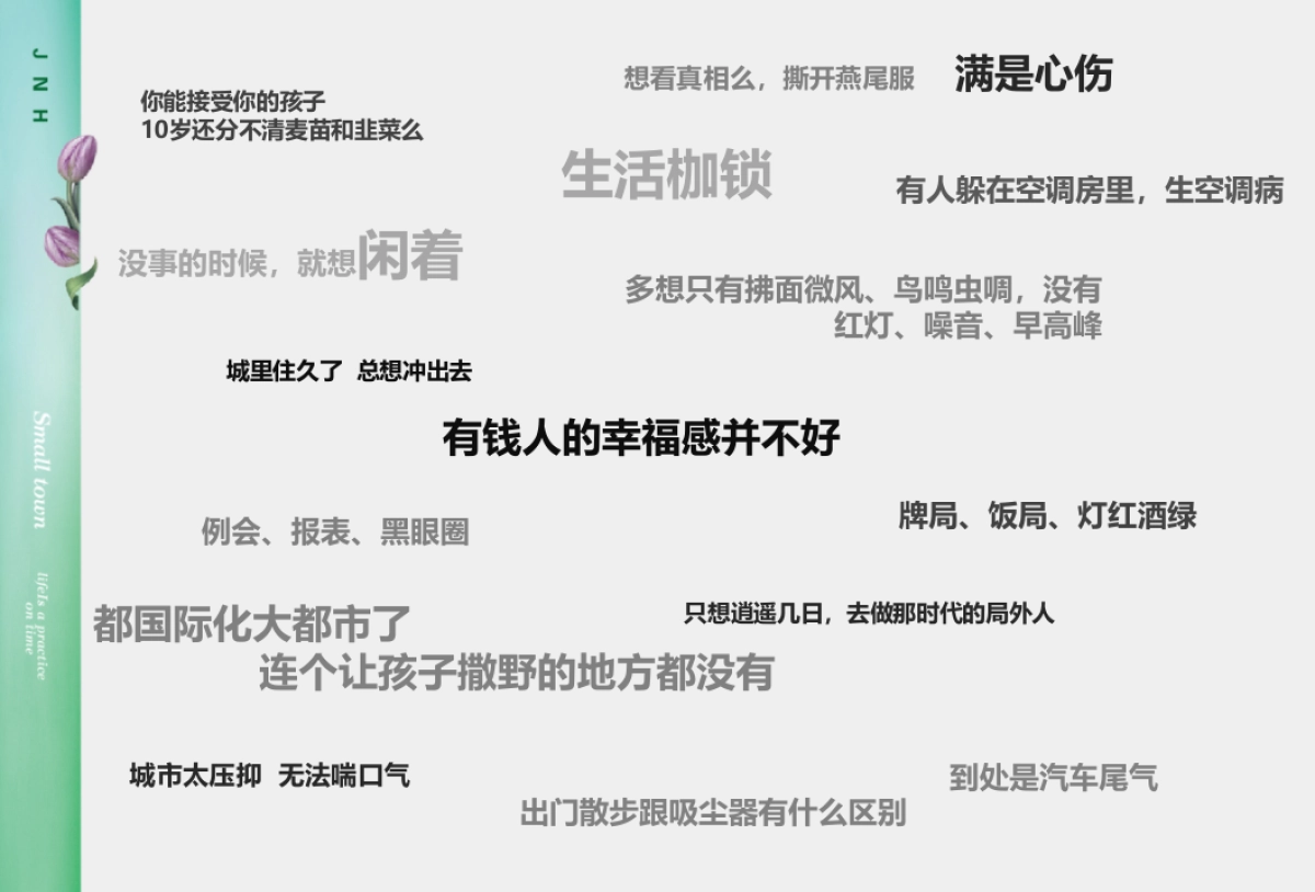 2019.3.15北京悟石广告-中国北方首个大健康产业生态园整合传播案_第6页