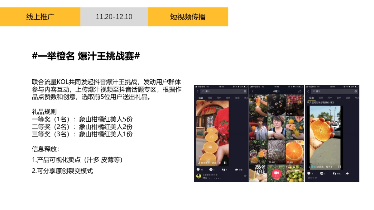 2019象山柑橘红美人营销推广方案_第10页