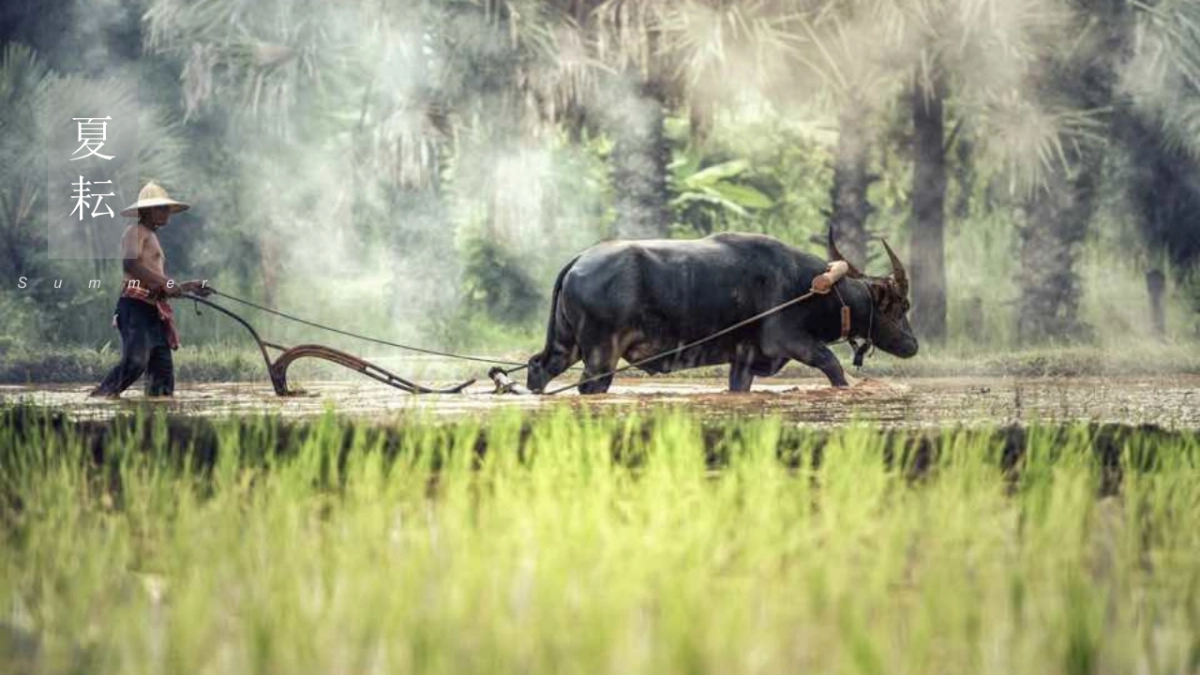 2020陕西区域特色农产品整合推广方案_第3页