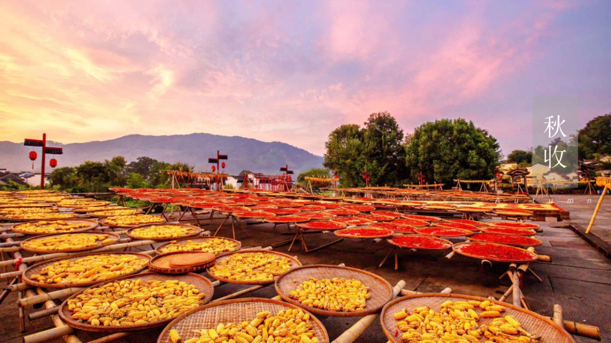 2020陕西区域特色农产品整合推广方案_第4页