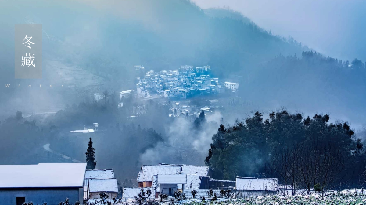 2020陕西区域特色农产品整合推广方案_第5页