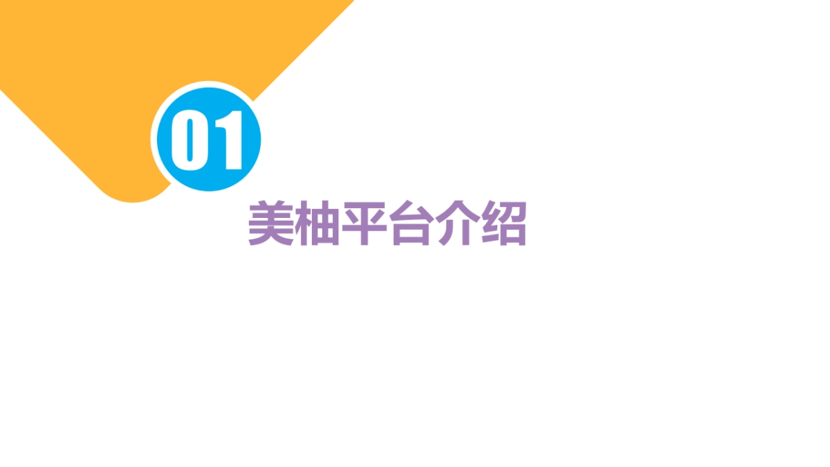 Pentavite美柚2020年平台传播方案_第3页