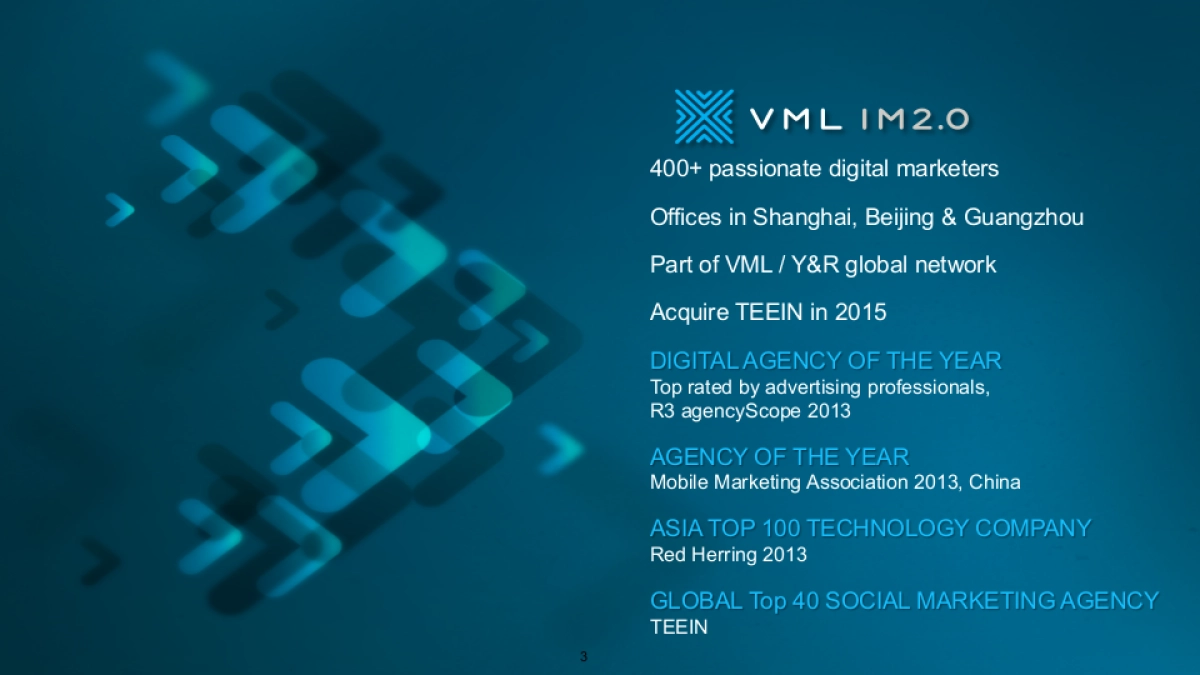 -TCL 2015年度数字营销传播规划_第3页