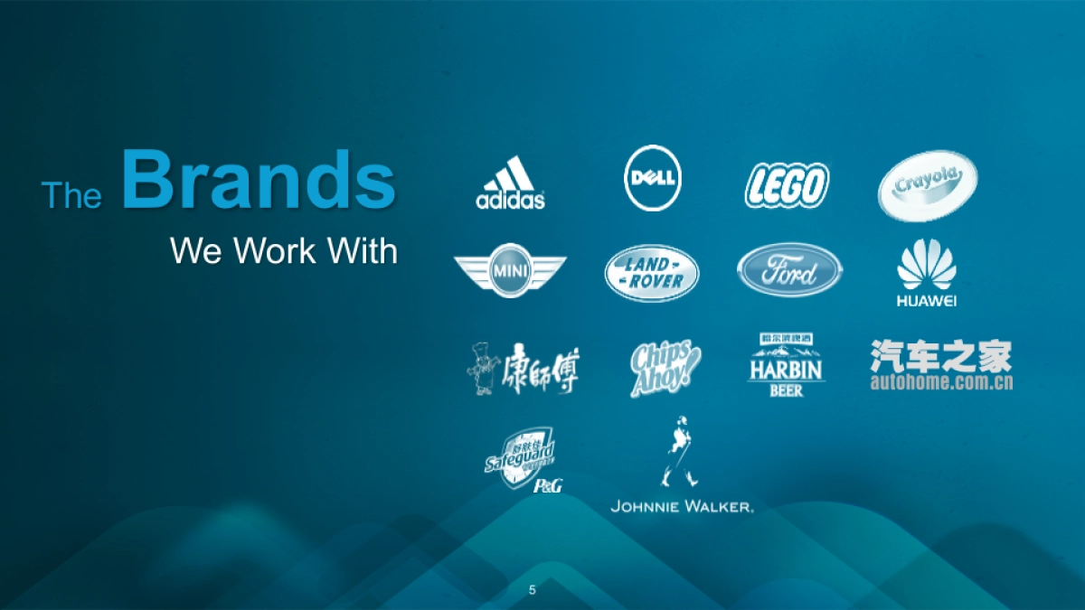 -TCL 2015年度数字营销传播规划_第5页