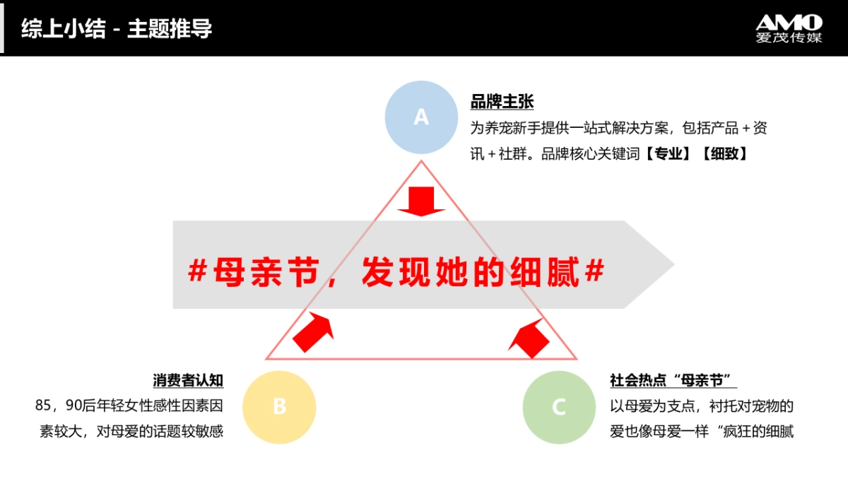 疯狂小狗宠物食品母亲节传播方案_第8页