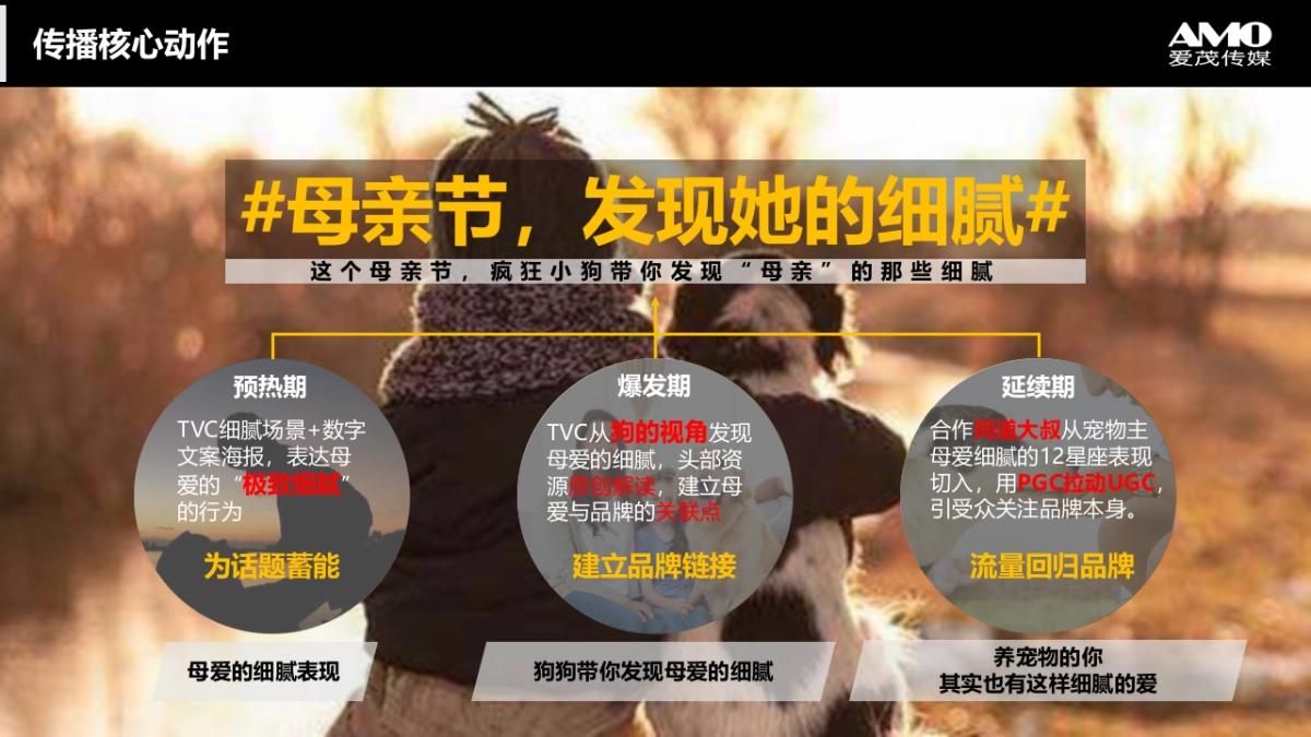 疯狂小狗宠物食品母亲节传播方案_第9页