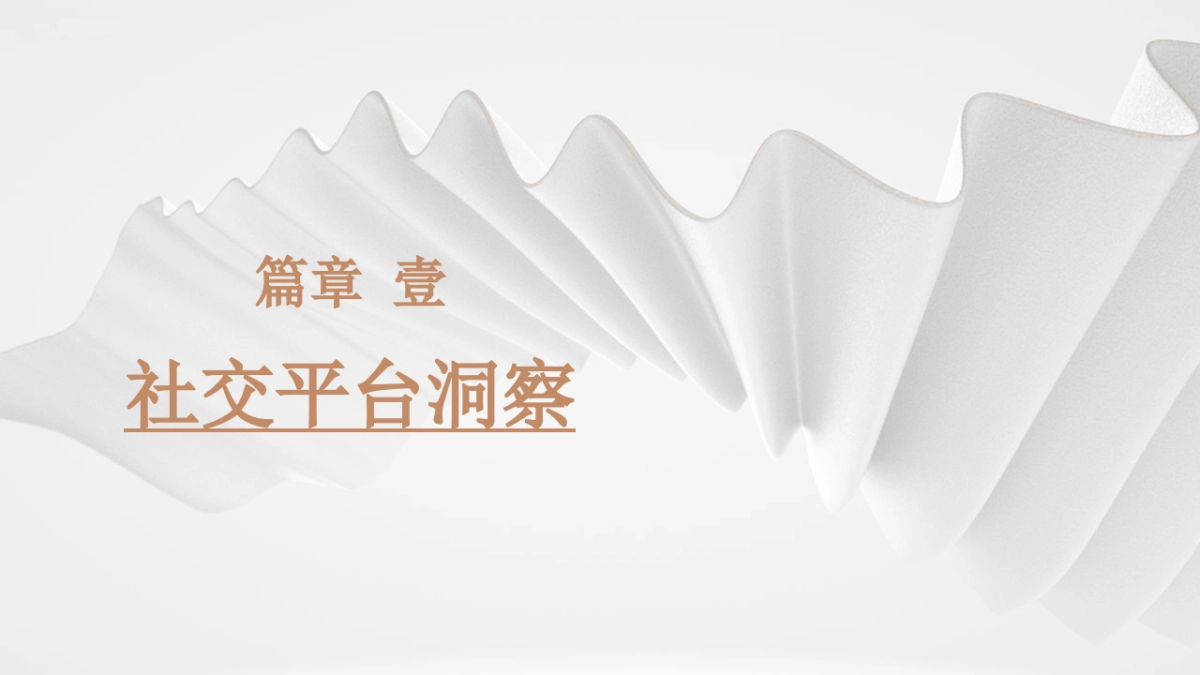 岗厦北枢纽美术馆社交平台传播方案_第5页