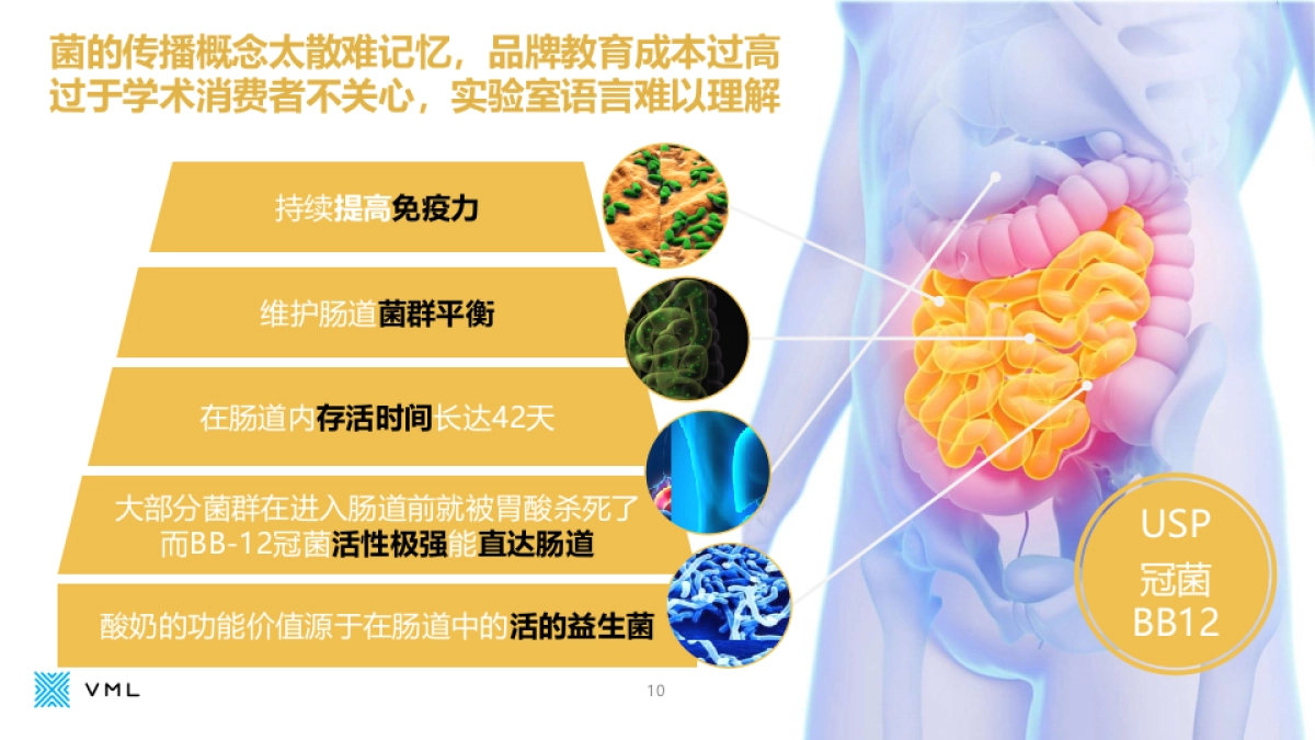 冠益乳整合传播规划_第10页