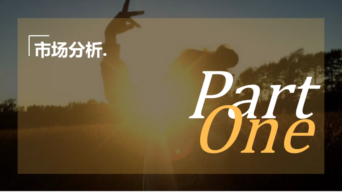 广州某广告公司-阳光城高明项目传播方案_第2页