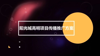 广州某广告公司-阳光城高明项目传播方案