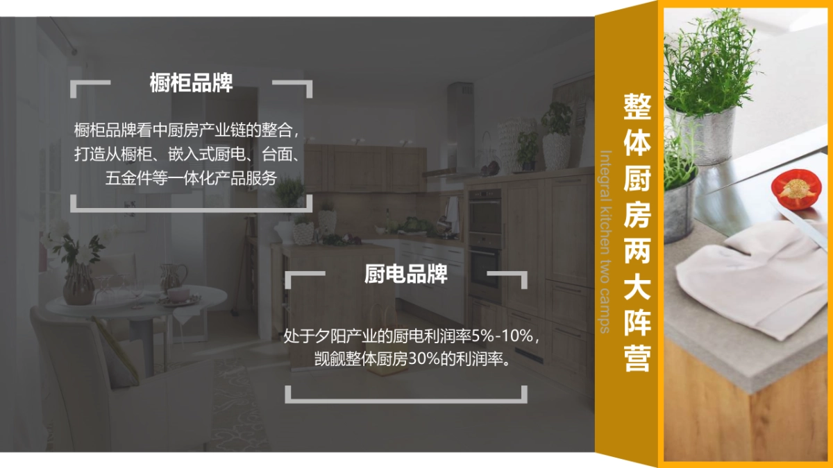 赫曼徳整体厨房传播方案_第9页