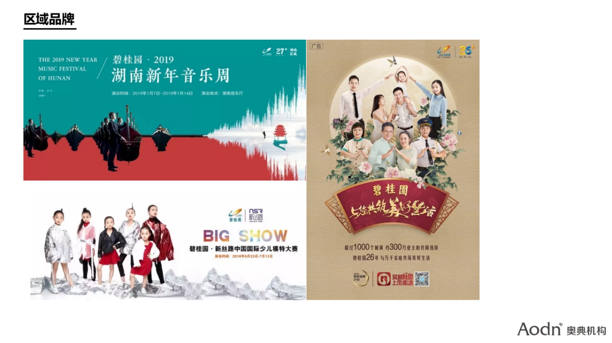 湖南保利品牌年度推广创意提案_第10页