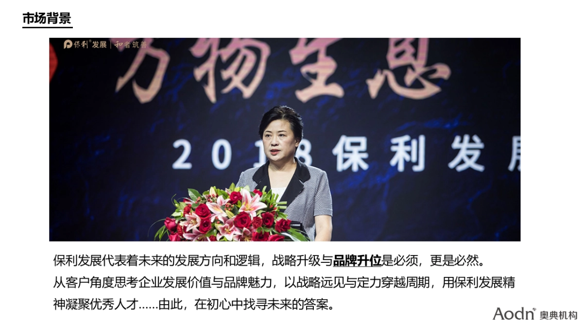 湖南保利品牌年度推广创意提案_第5页