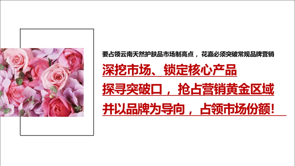 嘉美妆护肤品牌推广方案_第10页