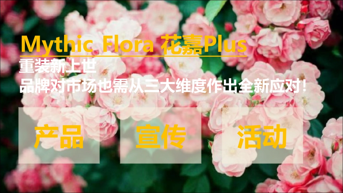 嘉美妆护肤品牌推广方案_第2页