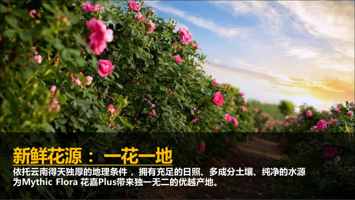 嘉美妆护肤品牌推广方案_第3页