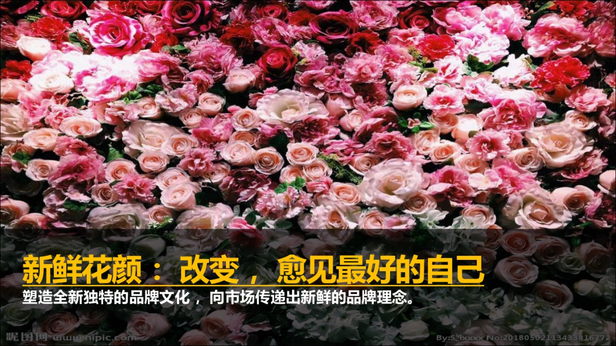 嘉美妆护肤品牌推广方案_第5页