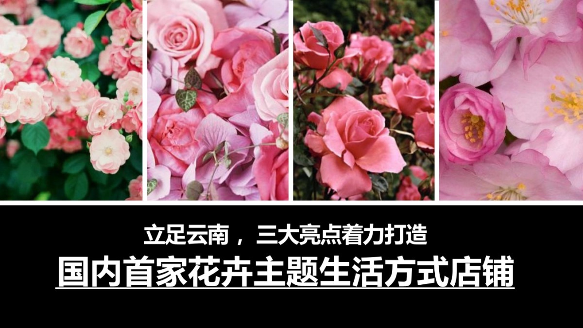 嘉美妆护肤品牌推广方案_第6页