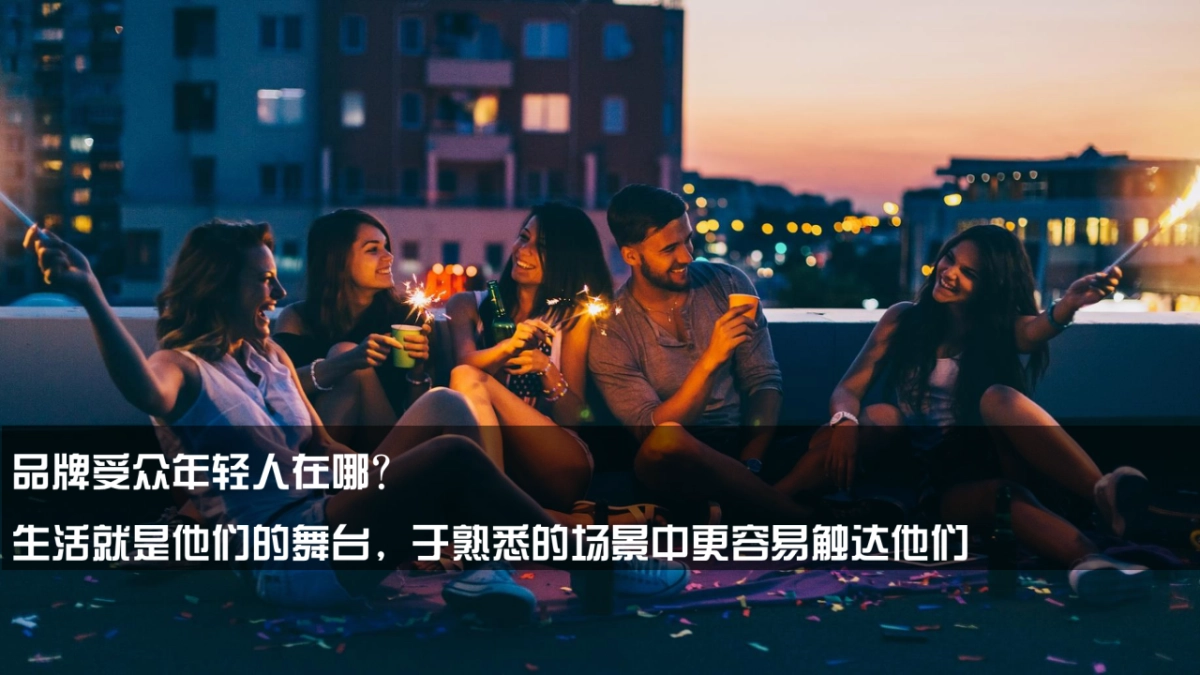 唯品会2019年网易云音乐传播建议0115-终版_第10页