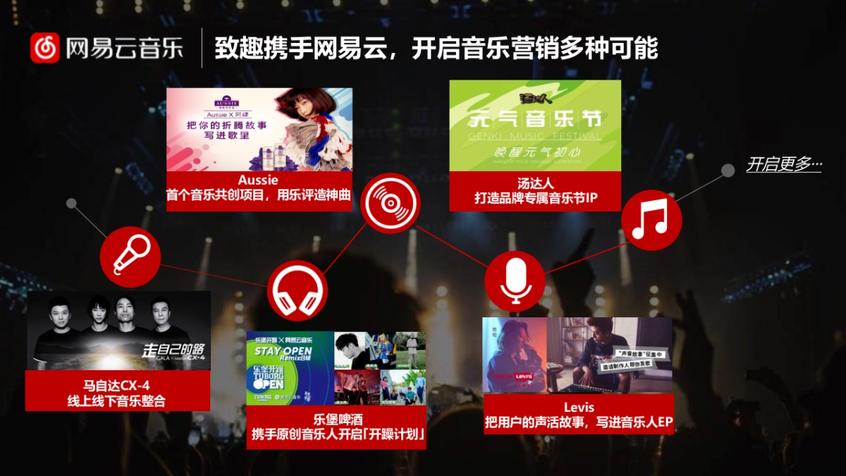 唯品会2019年网易云音乐传播建议0115-终版_第6页