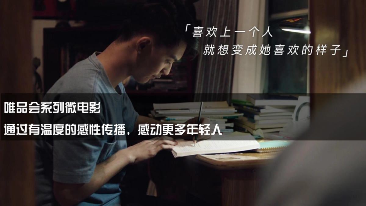 唯品会2019年网易云音乐传播建议0115-终版_第9页