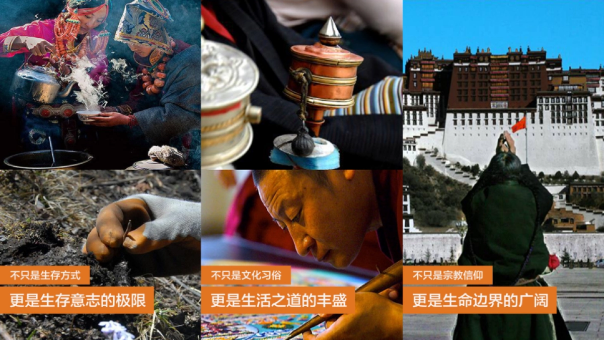 沃尔沃第三极暨K516上市传播互动战役_第8页