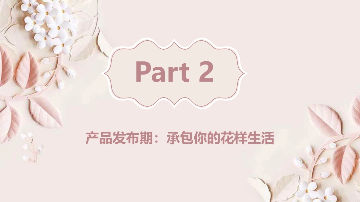 鲜油新媒体推广方案_第8页