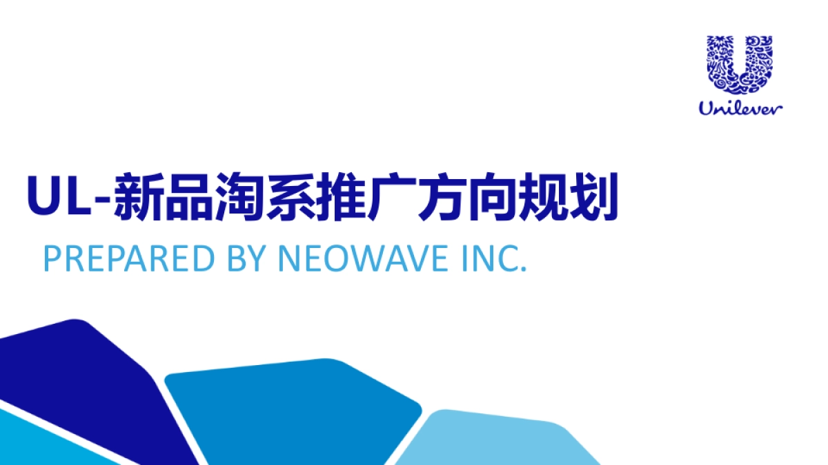 新品淘宝系推广执行方案_第1页