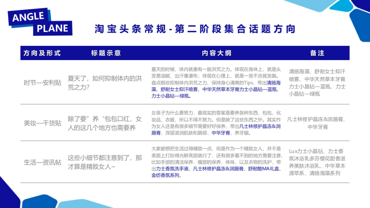 新品淘宝系推广执行方案_第10页