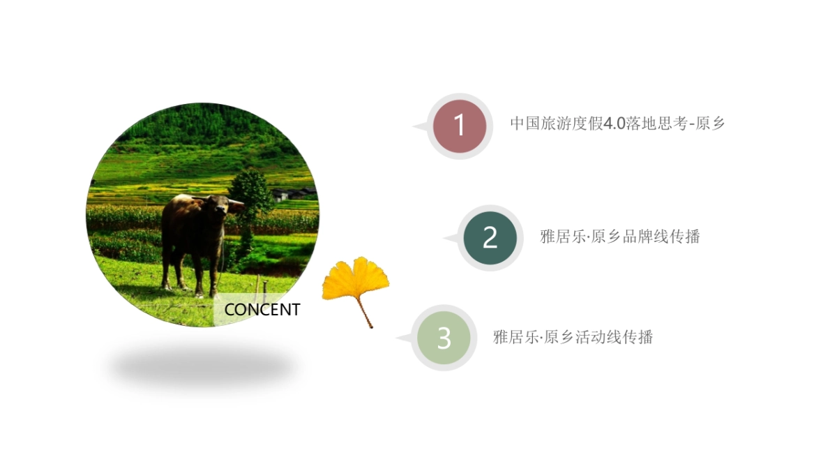 雅居乐原乡年度传播思路提报_第5页