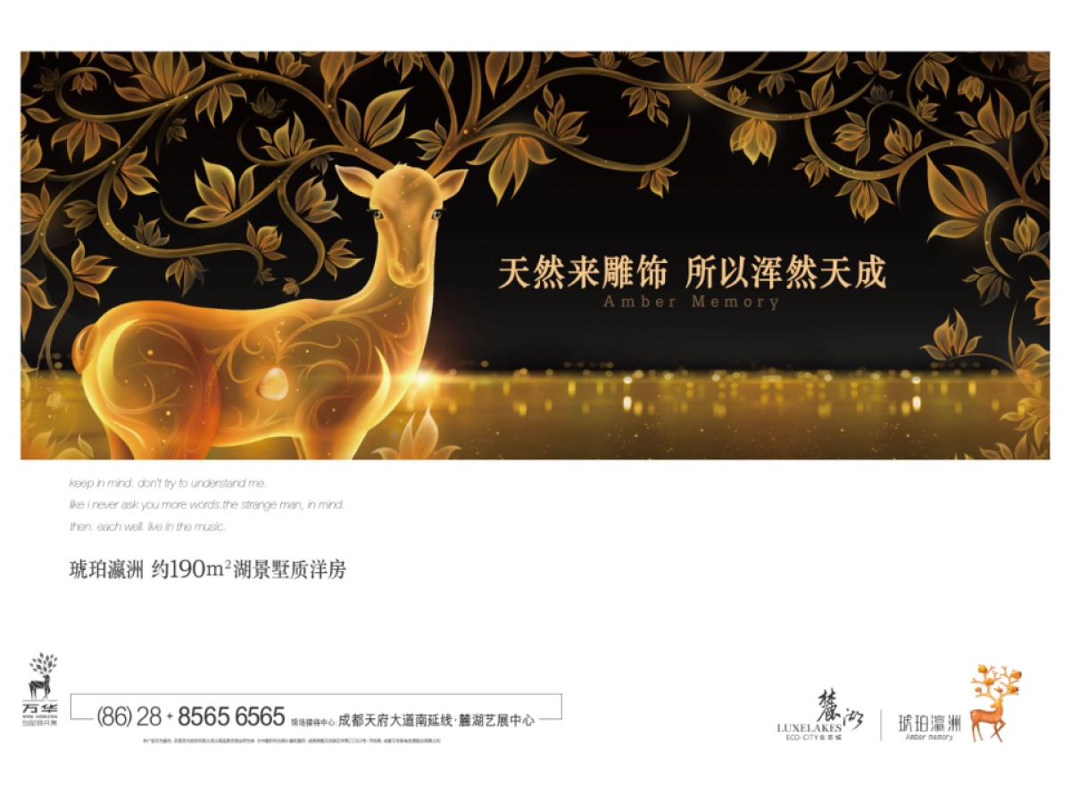优点广告成都麓湖琥珀瀛洲视觉传播案最终版_第3页