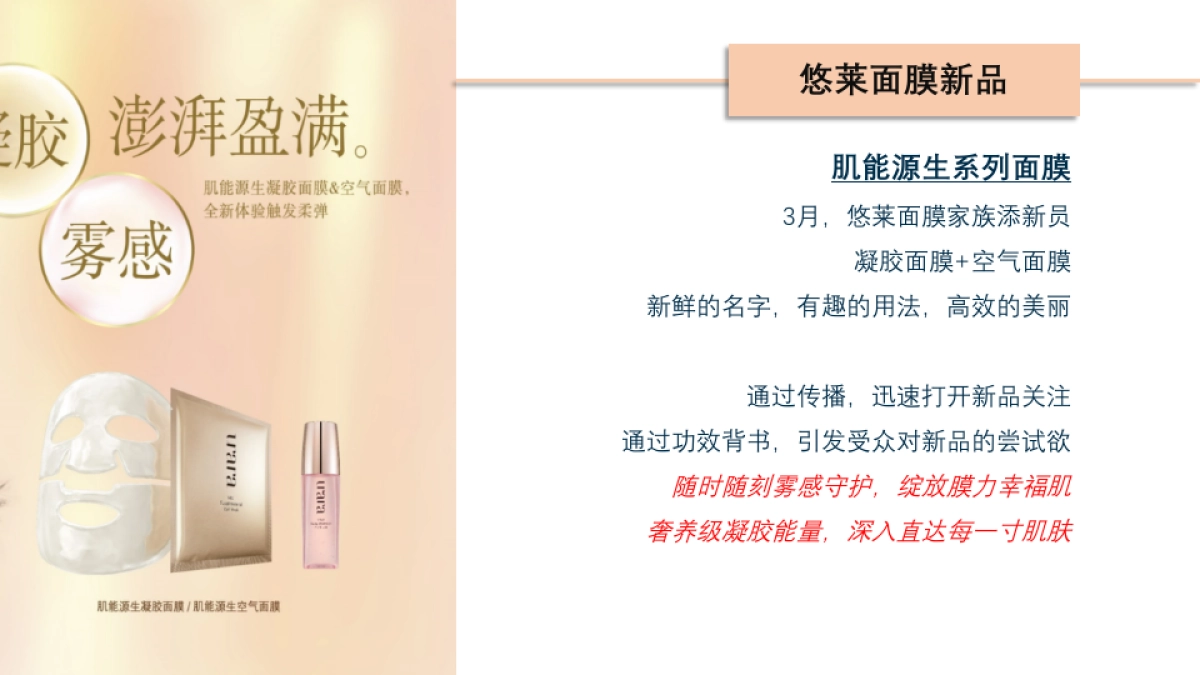 悠莱口碑传播规划方案_第5页