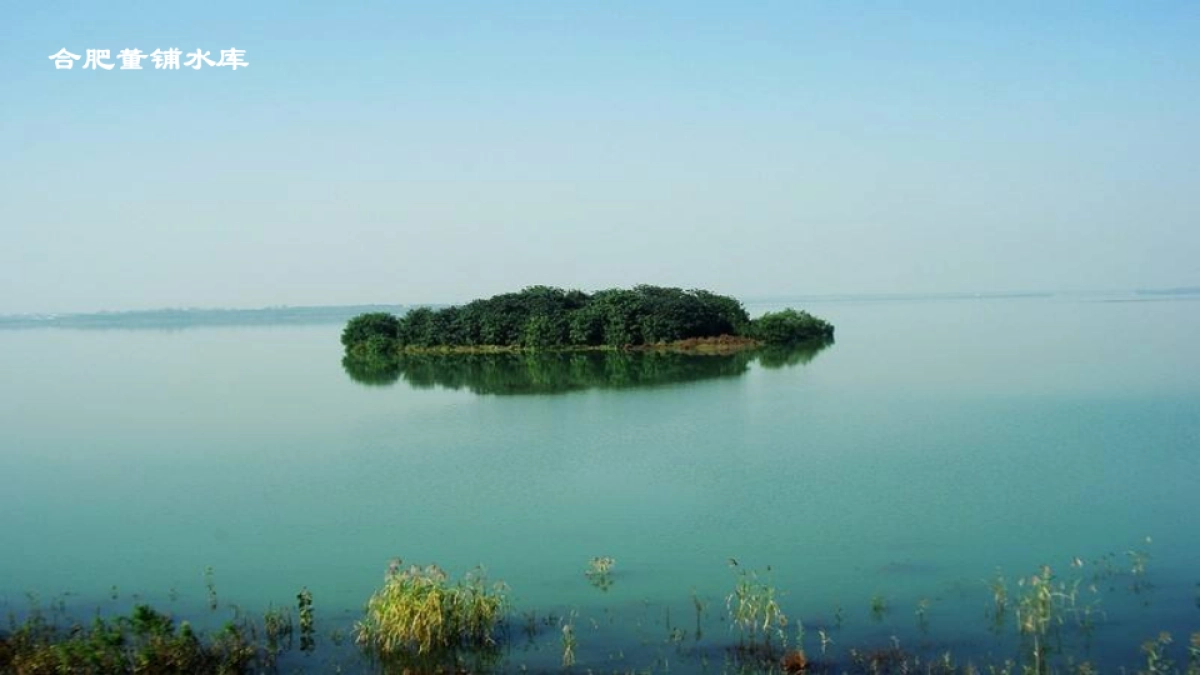 禹洲平湖秋月推广传播策略提报_第7页