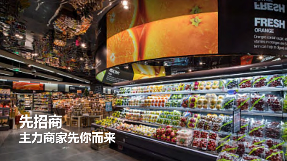 织里吾悦广场金街现铺推广案_第10页