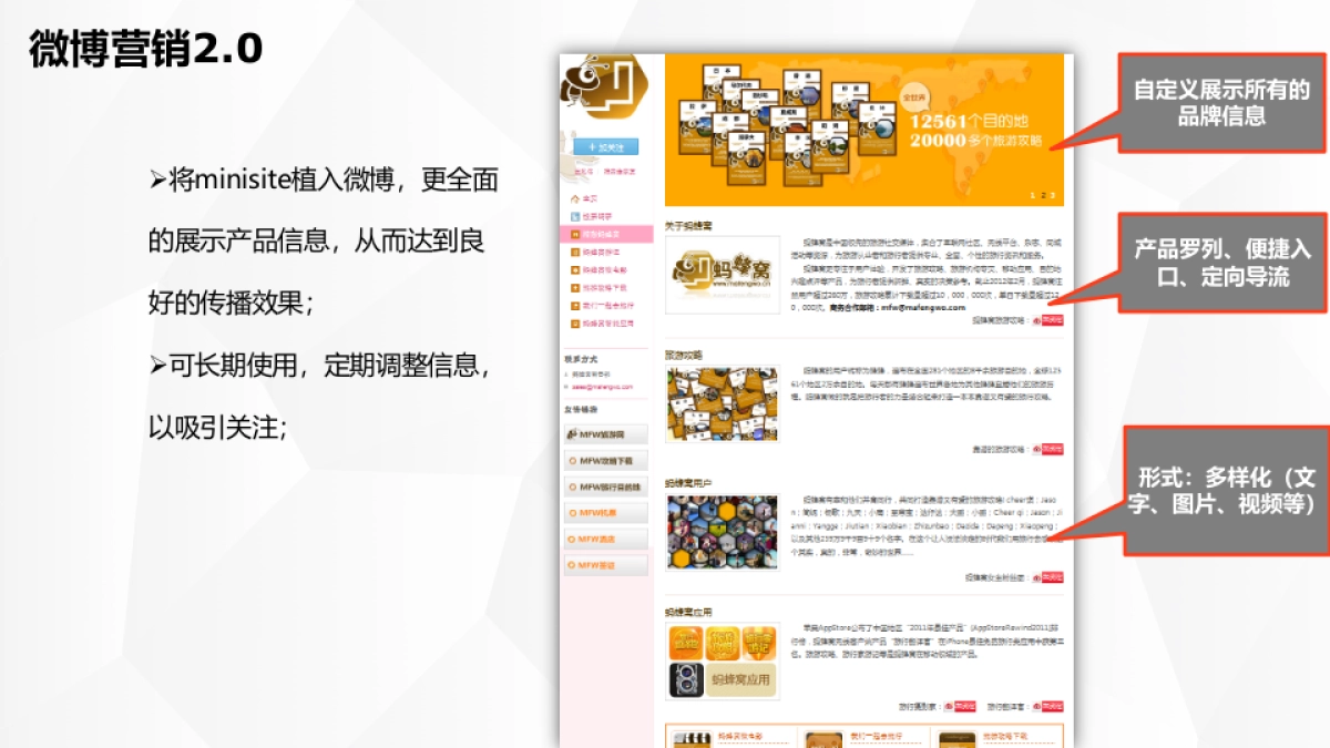 --中国平安人寿保险新媒体推广方案_第4页