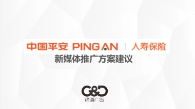 --中国平安人寿保险新媒体推广方案
