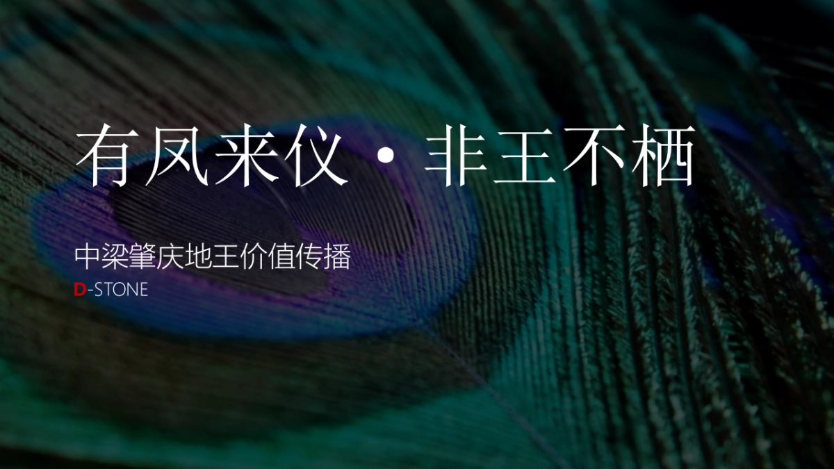 中梁肇庆地王中梁壹号院价值传播策略案_第3页