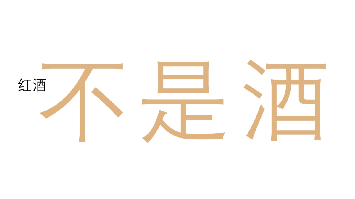 中信国安-尼雅年度传播方案0223-V2_第9页