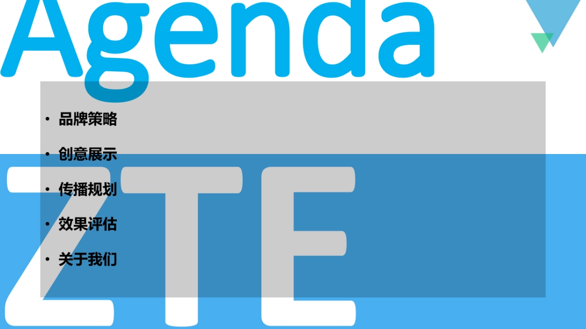 中兴天机传播规划方案_第2页