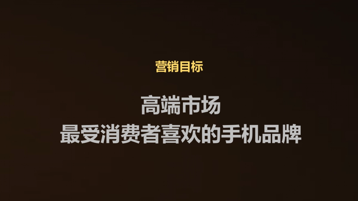 中兴天机传播规划方案_第3页