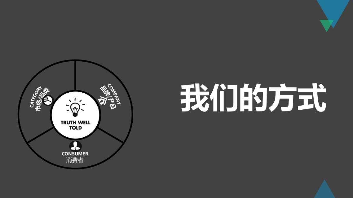 中兴天机传播规划方案_第4页